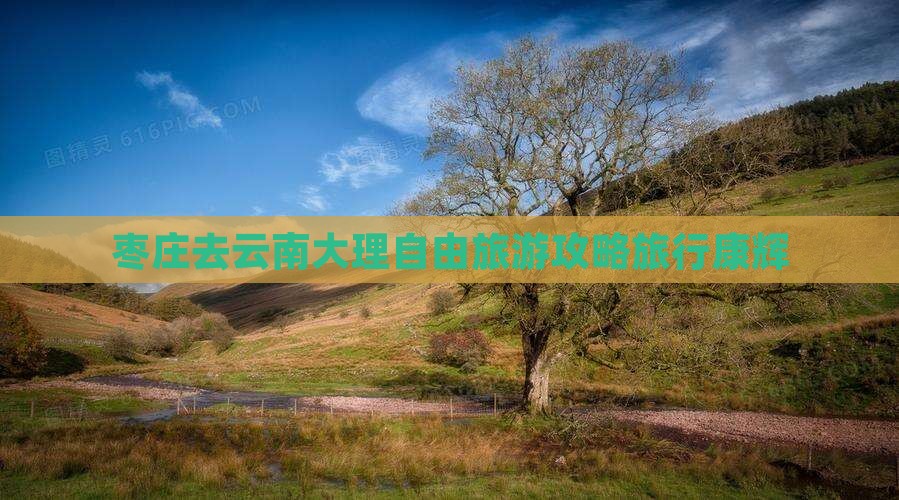 枣庄去云南大理自由团