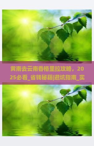 黄南去云南香格里拉攻略