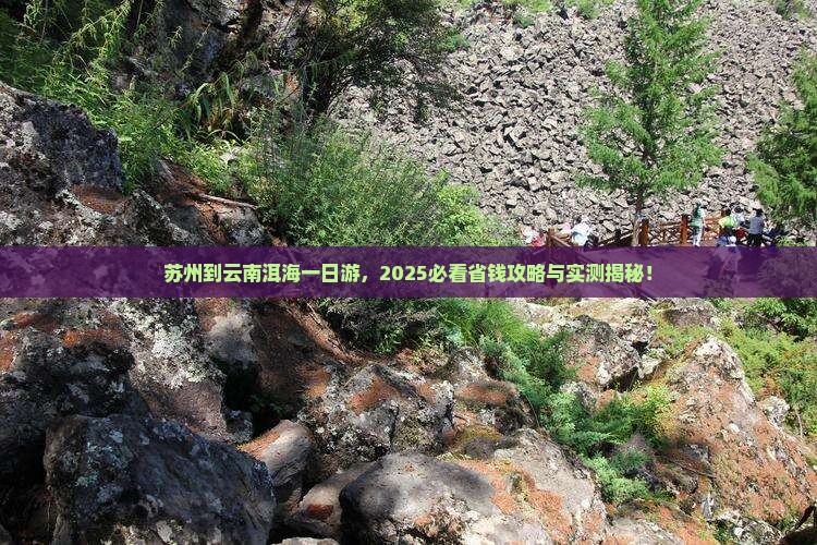 苏州到云南洱海一日