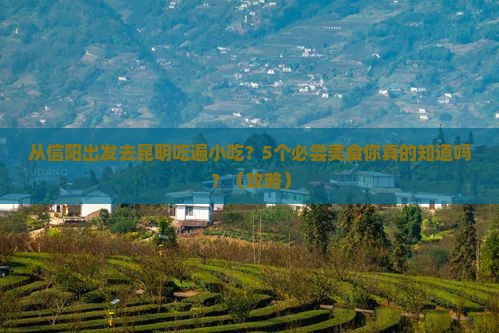 信阳去云南昆明旅游小吃