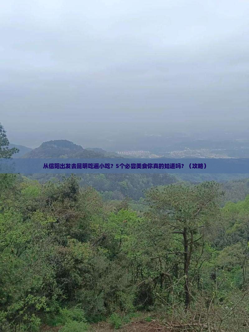信阳去云南昆明旅游小吃
