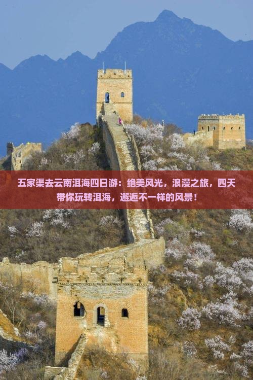 五家渠去云南洱海四日游 五家渠去云南洱海四日游