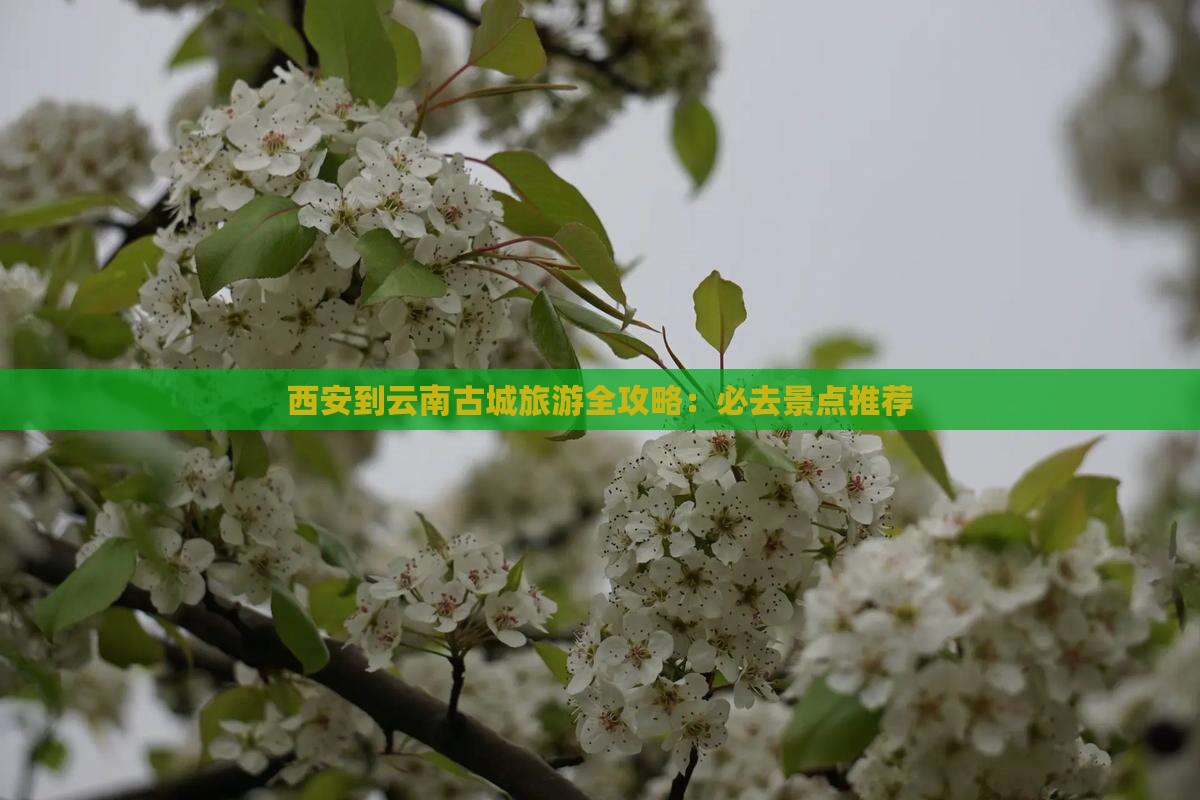 西安到云南古城旅游全攻略：必去景点推荐
