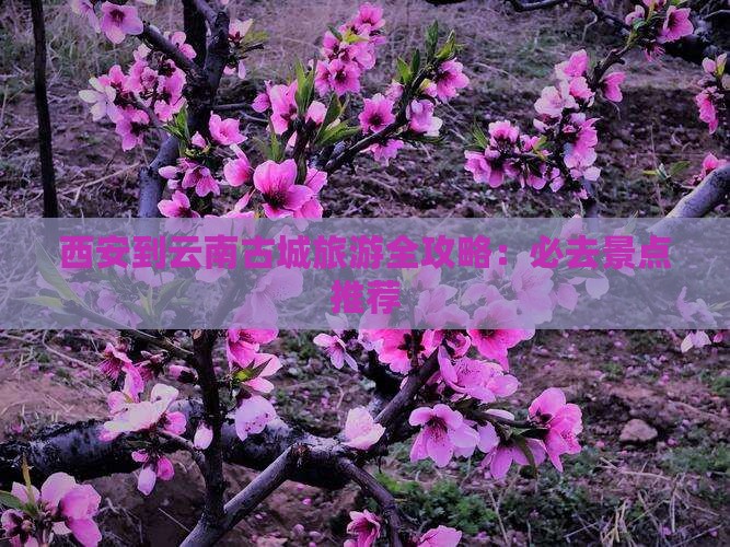 西安到云南古城旅游全攻略：必去景点推荐