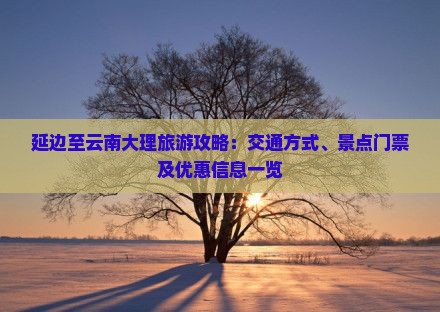 延边至云南大理旅游攻略：交通方式、景点门票及优惠信息一览