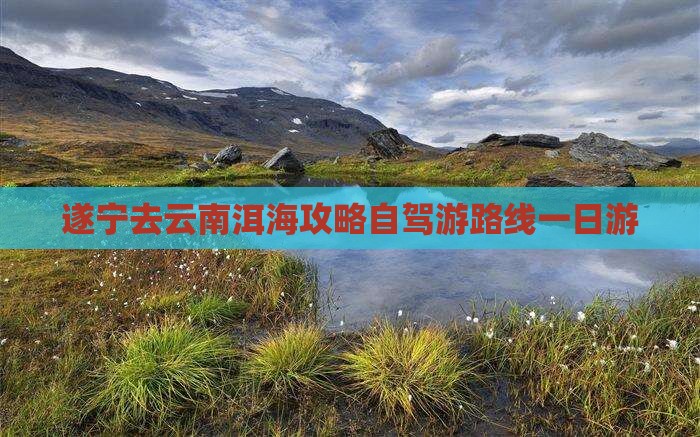 遂宁去云南洱海攻略自驾游路线一日游