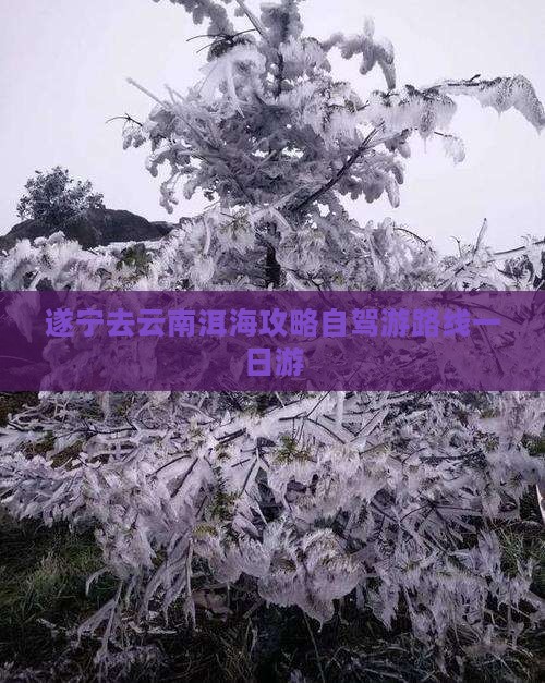 遂宁去云南洱海攻略自驾游路线一日游