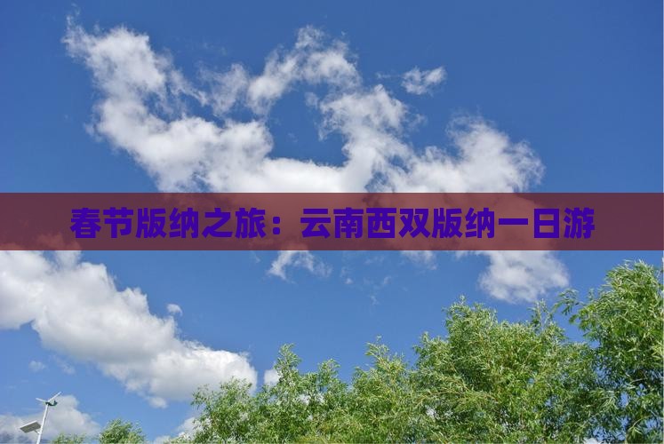 春节去云南西双版纳一日