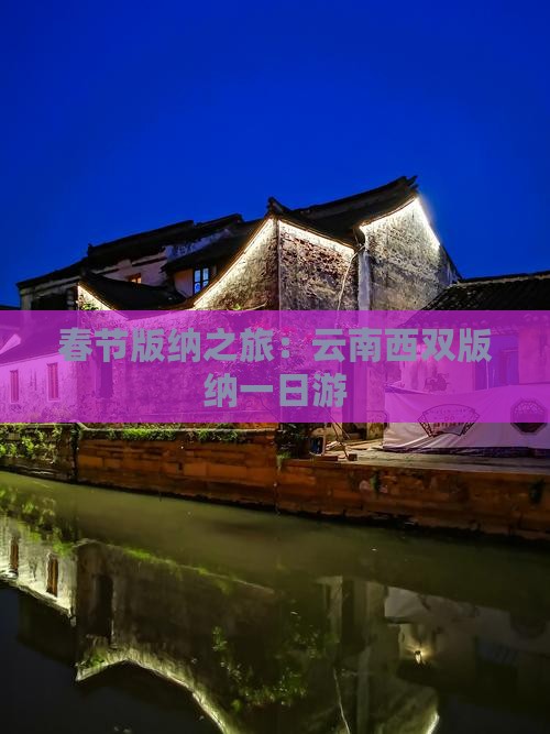 春节去云南西双版纳一日