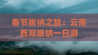 春节去云南西双版纳一日