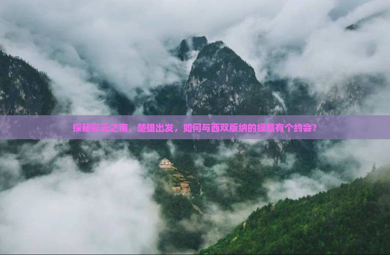 楚雄去云南西双版纳自由团