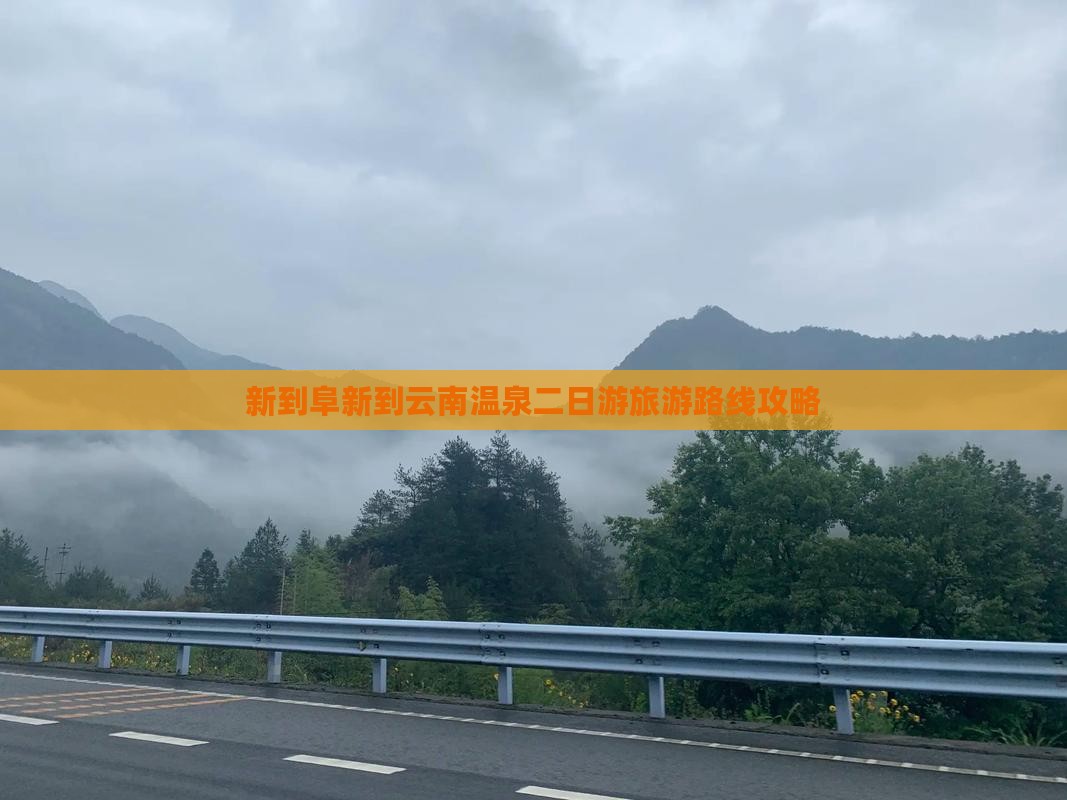 阜新到云南温泉二日游