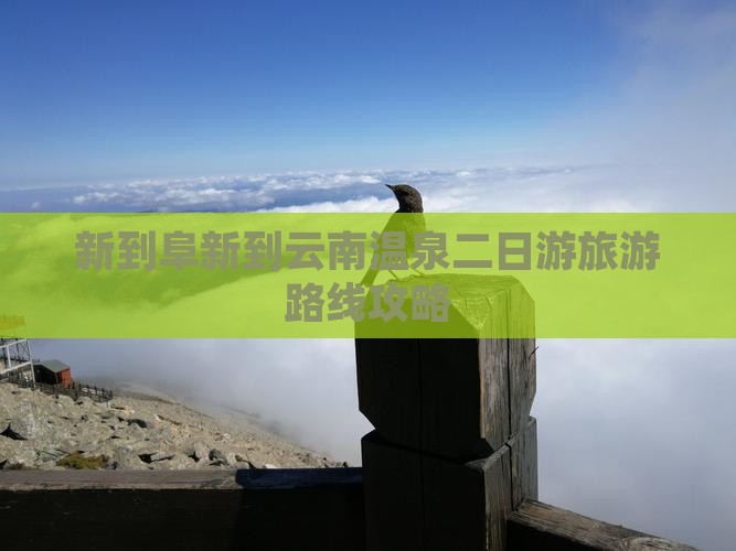 阜新到云南温泉二日游