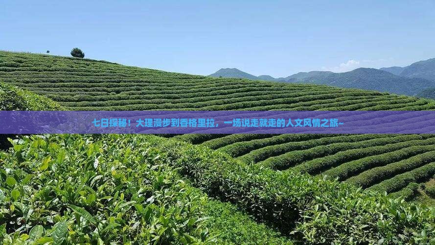 大理去云南香格里拉七日游