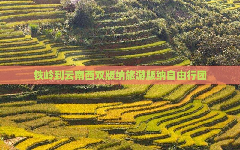 铁岭去云南西双版纳自由团