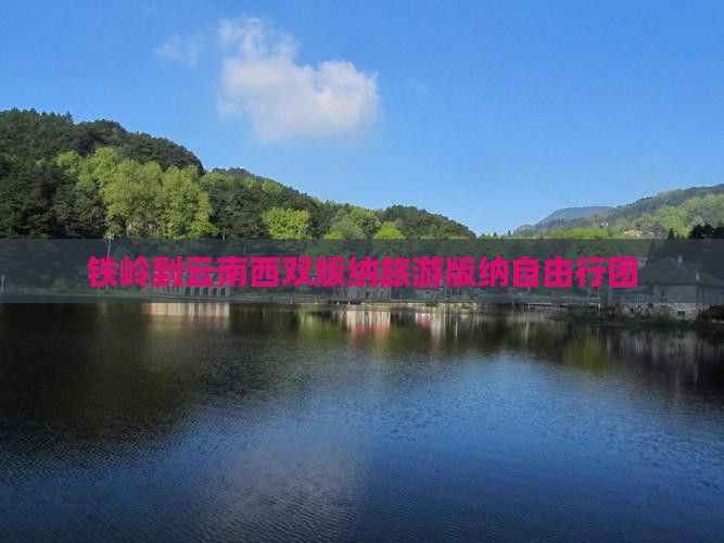 铁岭去云南西双版纳自由团