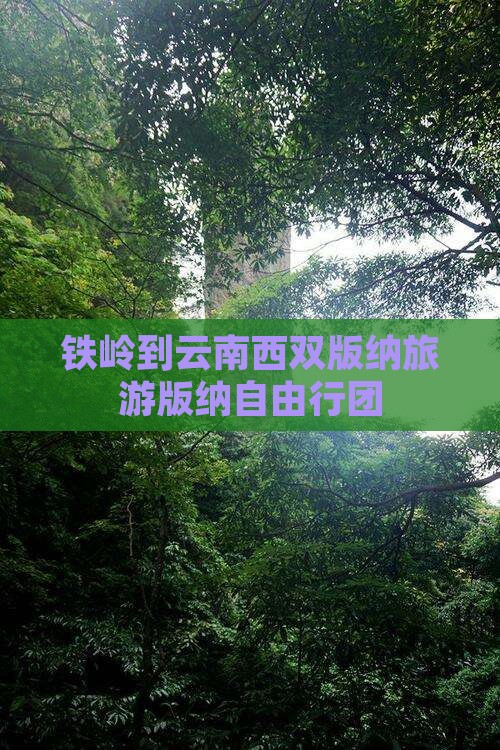 铁岭去云南西双版纳自由团