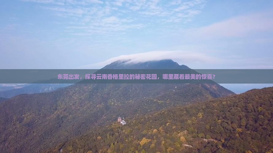 东莞到云南香格里拉哪里玩