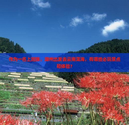 滁州去云南洱海哪里玩