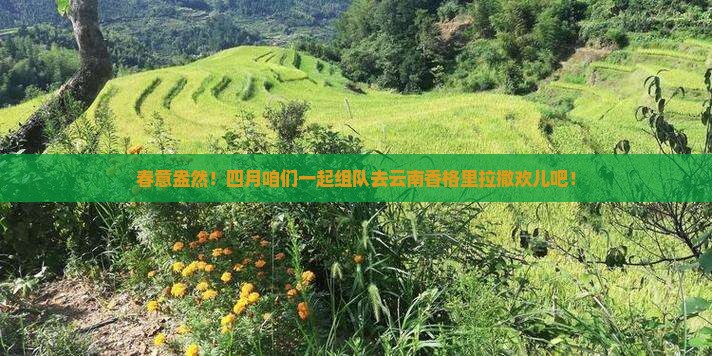 四月到云南香格里拉团体旅游
