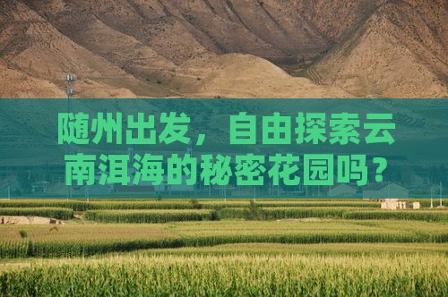 随州去云南洱海自由团