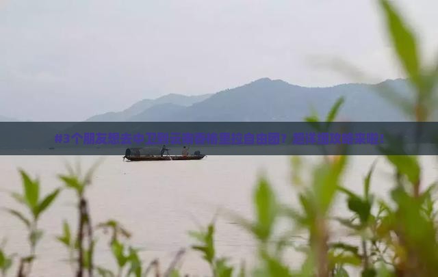 中卫到云南香格里拉自由团