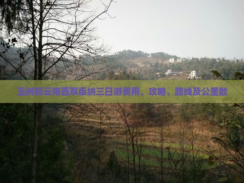 玉树到云南西双版纳三日游