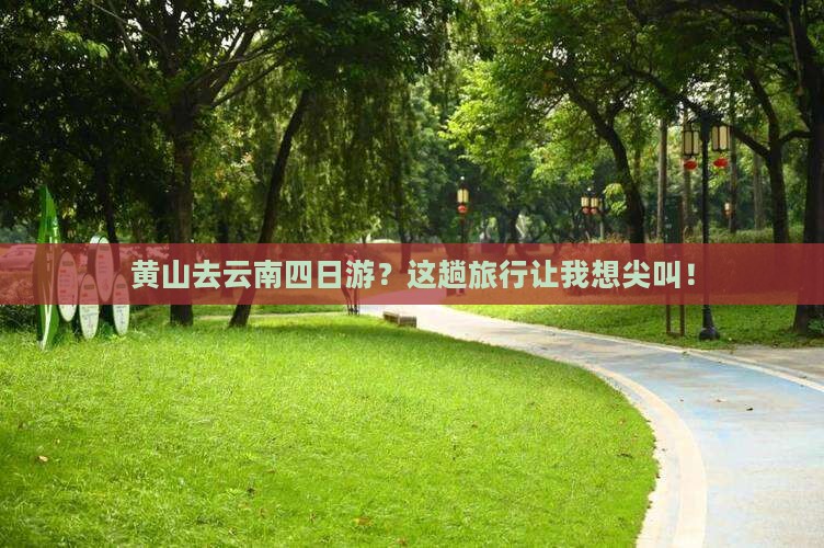黄山去云南四日游