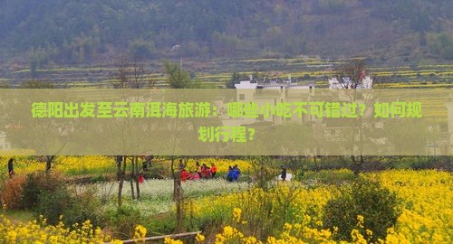 德阳到云南洱海旅游小吃