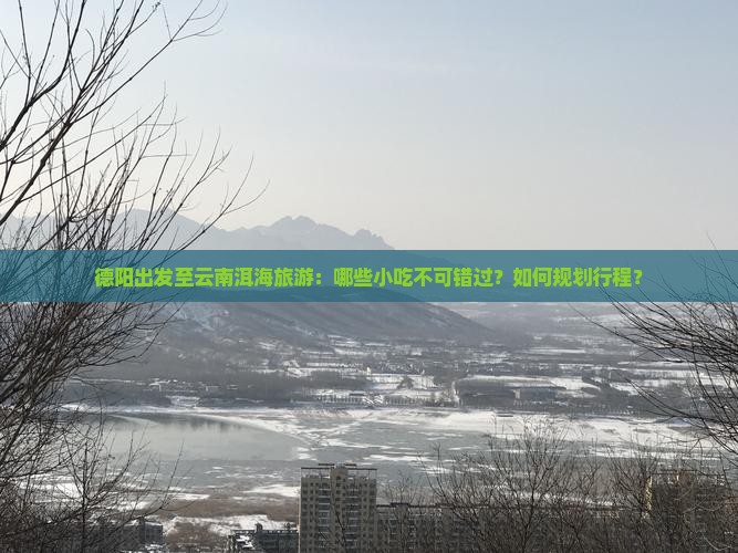 德阳到云南洱海旅游小吃