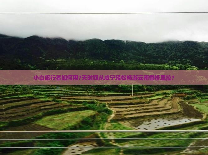 咸宁去云南香格里拉自由行
