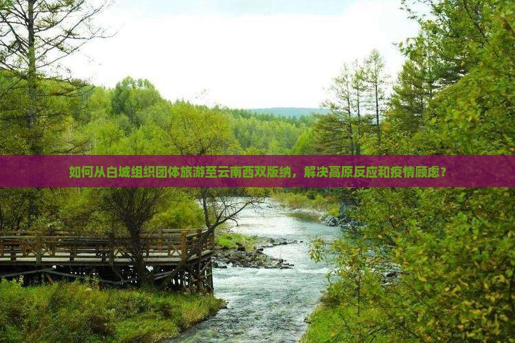 白城到云南西双版纳团体旅游