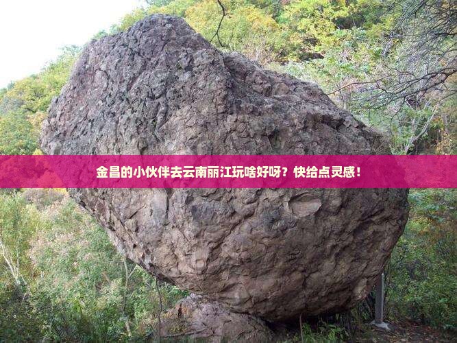 金昌去云南丽江哪里玩