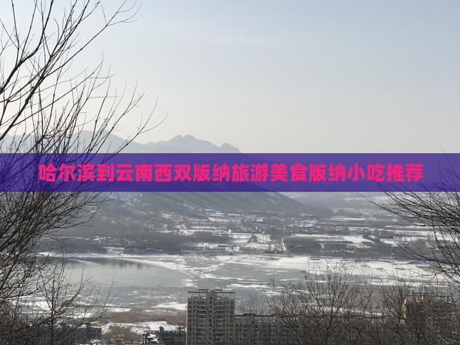 哈尔滨到云南西双版纳旅游小吃