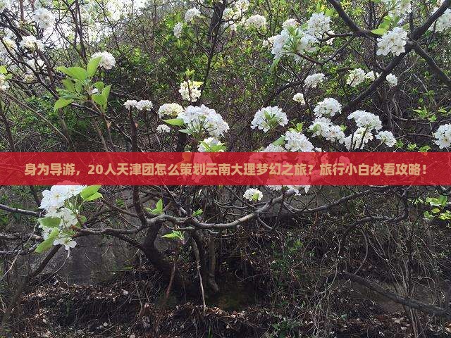 天津到云南大理大型旅游团 天津到云南大理大型旅游团