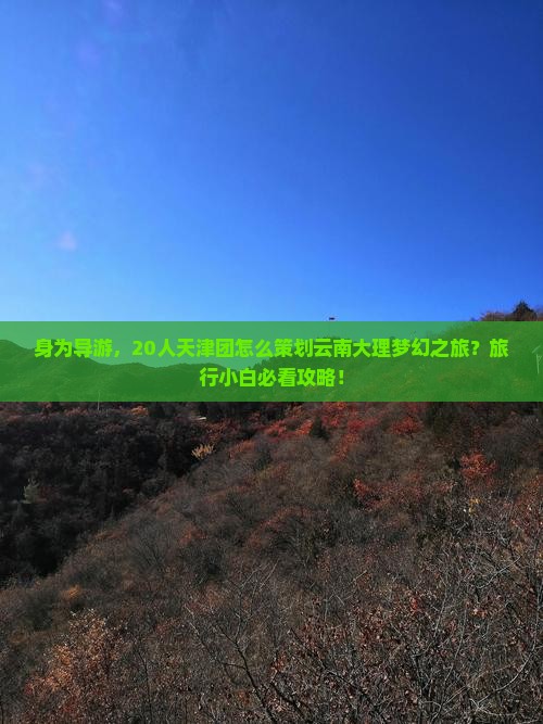 天津到云南大理大型旅游团 天津到云南大理大型旅游团