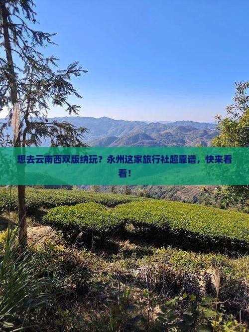 永州去云南西双版纳旅行社