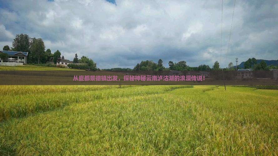 景德镇去云南泸沽湖景点
