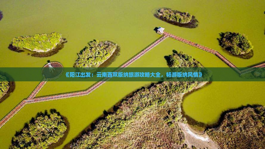 阳江去云南西双版纳旅游