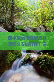 四平去云南温泉三日游