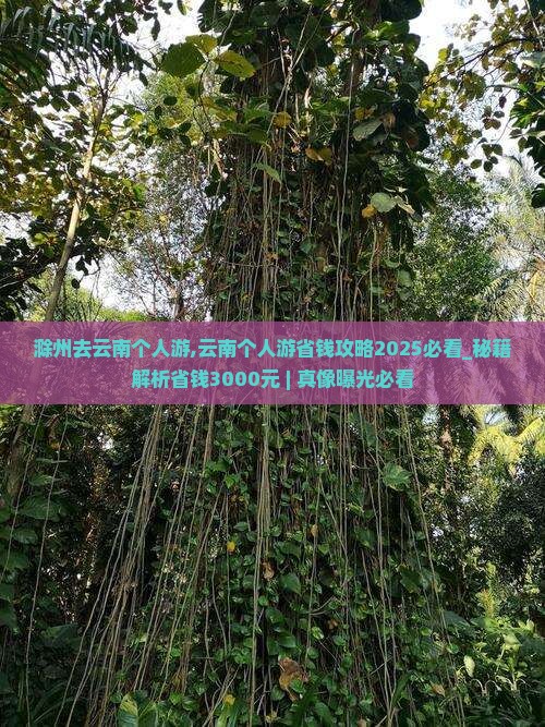 滁州去云南个人游