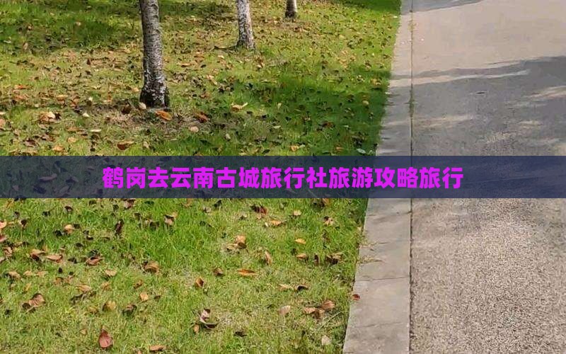鹤岗去云南古城旅行社