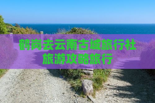 鹤岗去云南古城旅行社