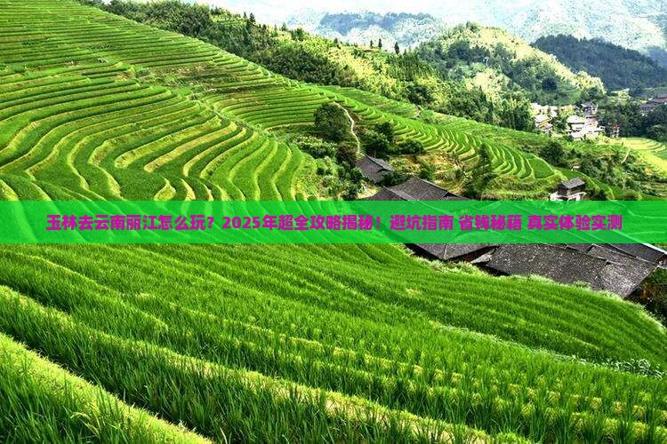 玉林去云南丽江旅行社