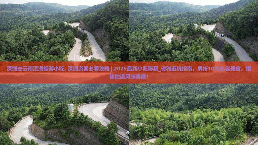 深圳去云南洱海旅游小吃