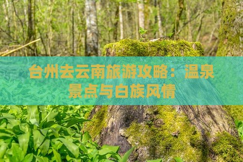 台州去云南温泉景点 台州去云南温泉景点