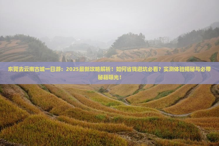 东莞去云南古城一日