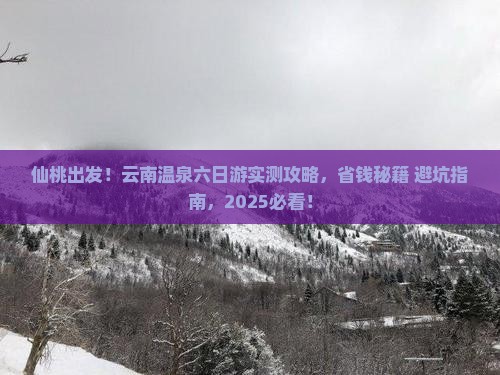 仙桃到云南温泉六日游