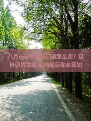 八月到云南古城门票