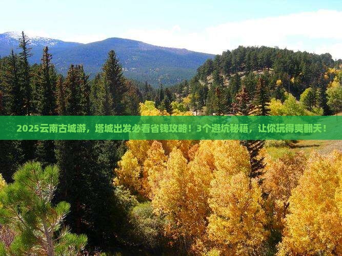 塔城到云南古城旅行社